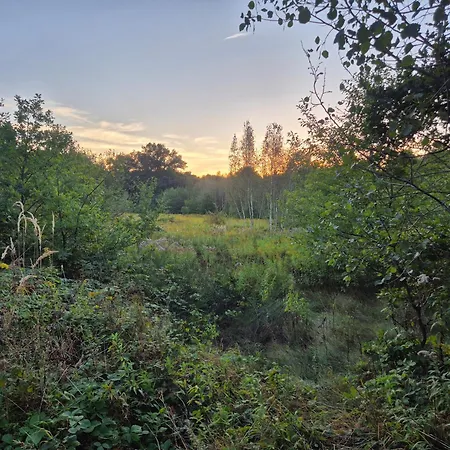 Luxuszelt Leoland - Zero Udogodnien *