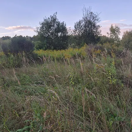 Leoland - Zero Udogodnien Luxuszelt Babice (Raciborz)