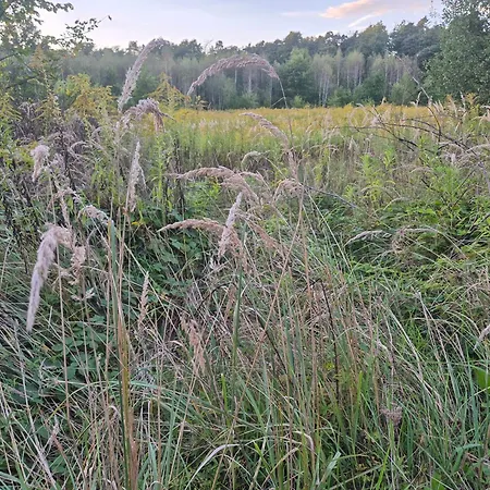 Leoland - Zero Udogodnien Luxuszelt