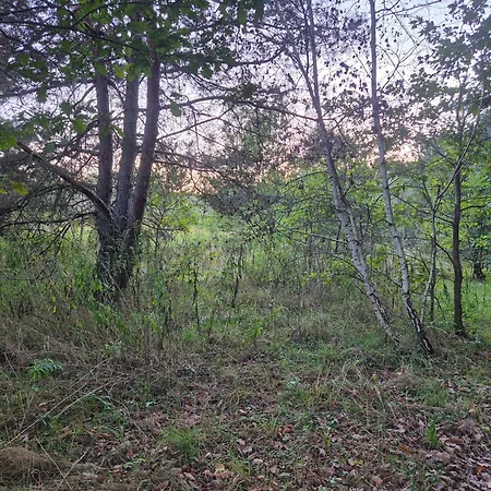 Leoland - Zero Udogodnien Luxuszelt *