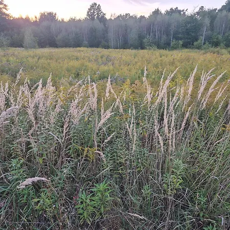 Leoland - Zero Udogodnien