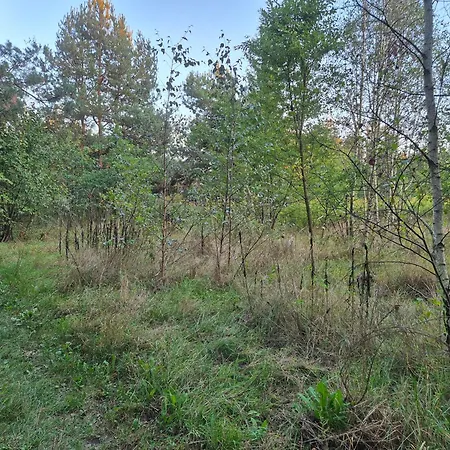 Luxuszelt Leoland - Zero Udogodnien