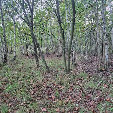 Leoland - Zero Udogodnien Luxuszelt *