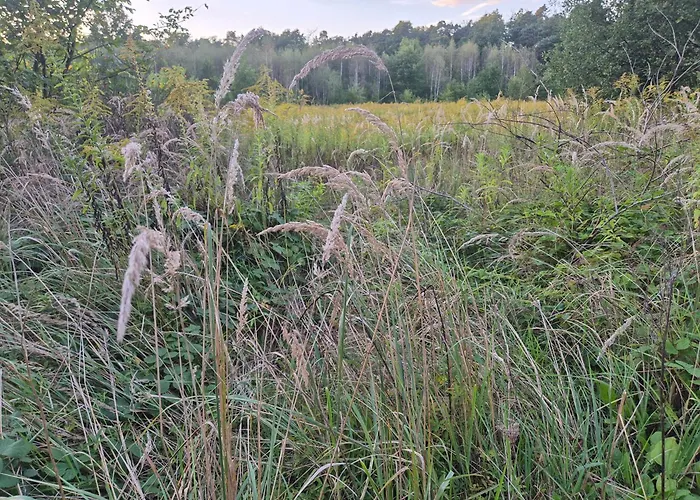 Leoland - Zero Udogodnien Luxuszelt