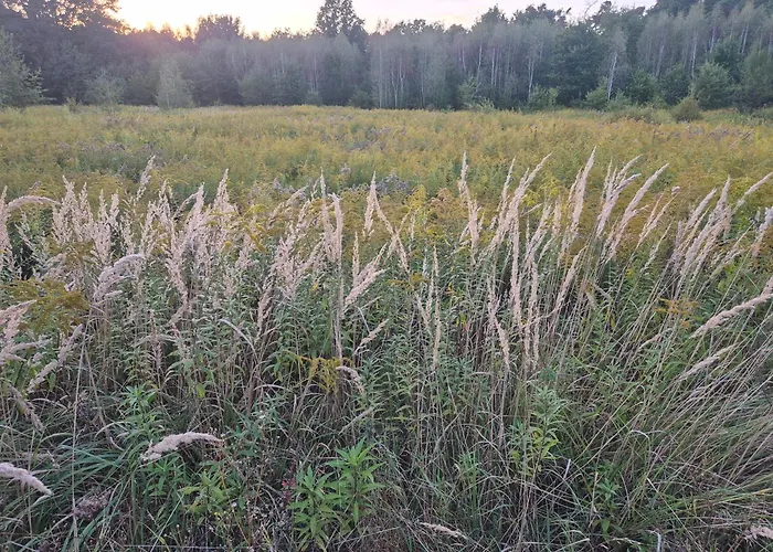 Leoland - Zero Udogodnien