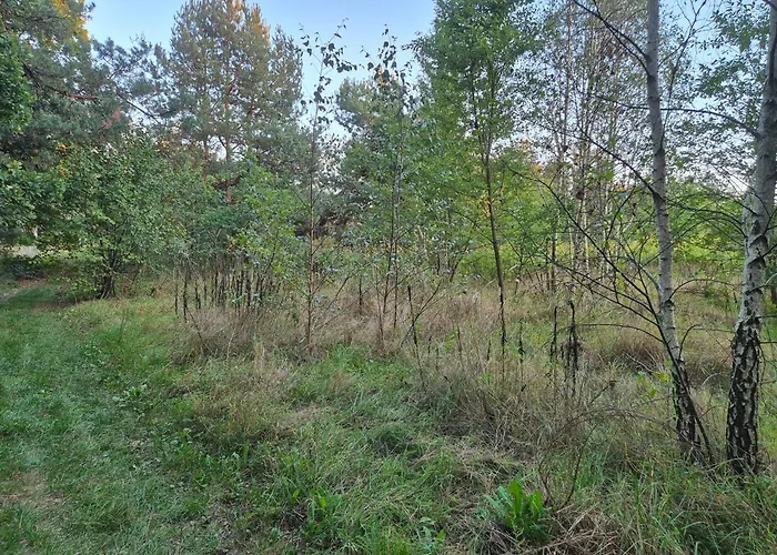 Luxuszelt Leoland - Zero Udogodnien