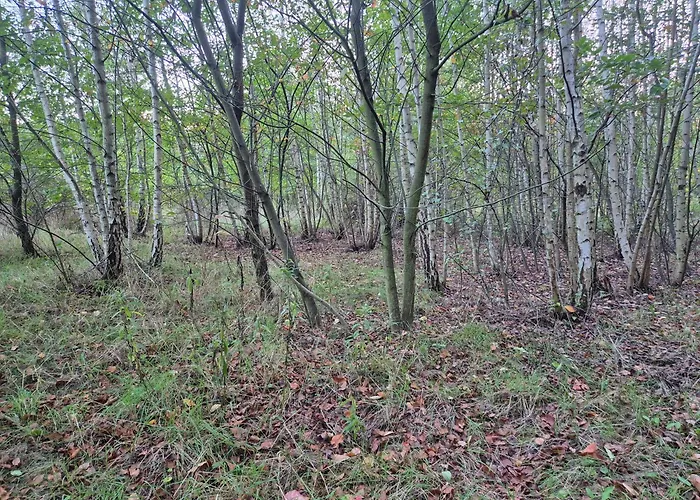 Leoland - Zero Udogodnien Luxuszelt *